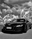 Logo Falcone Management & Car Srl